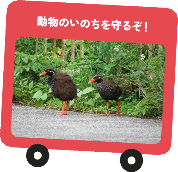 動物のいのちを守るぞ！